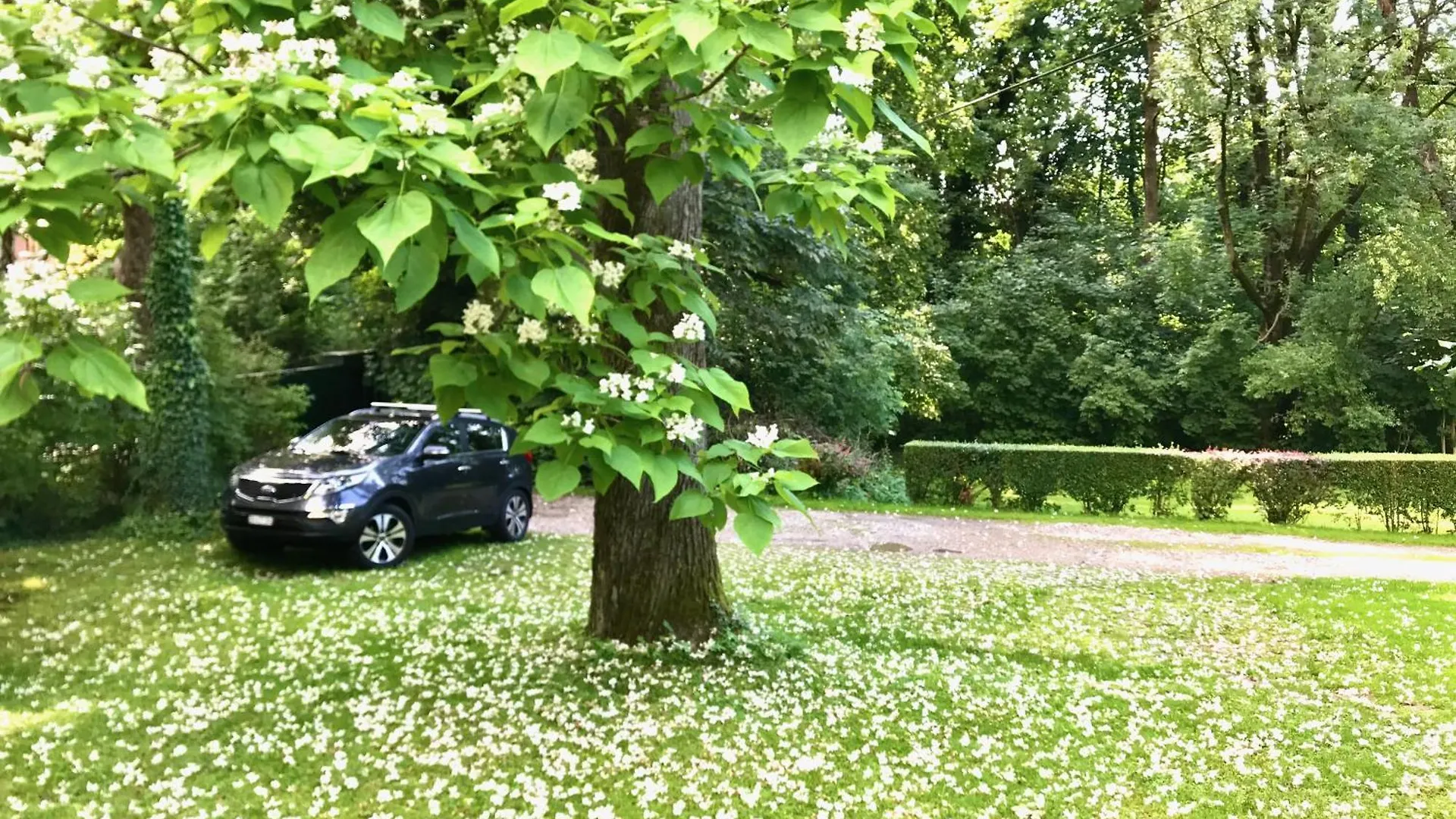 Apartment Schloss Mit Eigenem Garten Und Parkplatz G Salzburg